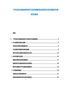 汽車后市場(chǎng)維修保養(yǎng)行業(yè)發(fā)展趨勢(shì)及投資方向與服務(wù)升級(jí)研究報(bào)告