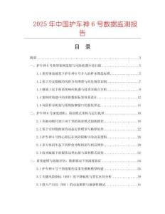 2025年中國護車神6號數(shù)據(jù)監(jiān)測報告