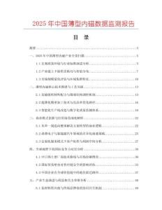 2025年中國薄型內(nèi)磁數(shù)據(jù)監(jiān)測報告
