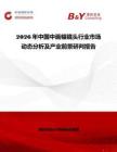 2026年中國中畫幅鏡頭行業(yè)市場動態(tài)分析及產(chǎn)業(yè)前景研判報告
