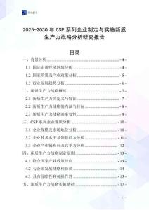 2025-2030年CSP系列企業制定與實施新質生產力戰略分析研究報告