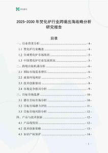 2025-2030年焚化爐行業跨境出海戰略分析研究報告