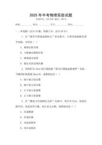 2025年中考物理实验试题