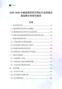 2025-2030年硬面堆焊药芯焊丝行业跨境出海战略分析研究报告