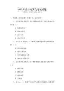 2025年會計電算化考試試題