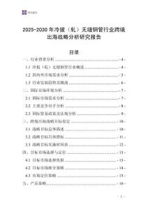 2025-2030年冷拔（軋）無縫鋼管行業(yè)跨境出海戰(zhàn)略分析研究報告