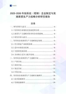2025-2030年矩形坯（粗鋼）企業(yè)制定與實(shí)施新質(zhì)生產(chǎn)力戰(zhàn)略分析研究報(bào)告
