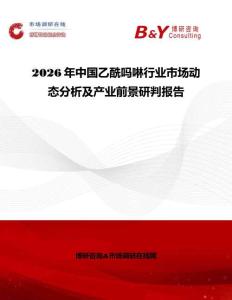 2026年中國乙酰嗎啉行業(yè)市場動態(tài)分析及產(chǎn)業(yè)前景研判報告