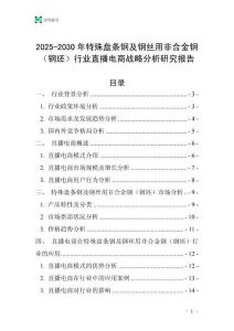 2025-2030年特殊盤條鋼及鋼絲用非合金鋼（鋼坯）行業直播電商戰略分析研究報告