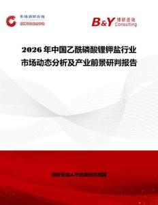 2026年中國(guó)乙酰磷酸鋰鉀鹽行業(yè)市場(chǎng)動(dòng)態(tài)分析及產(chǎn)業(yè)前景研判報(bào)告