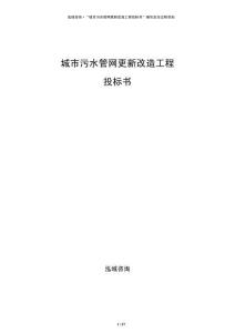 城市污水管網(wǎng)更新改造工程投標(biāo)書