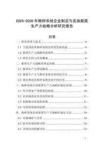 2025-2030年粉碎系統企業制定與實施新質生產力戰略分析研究報告