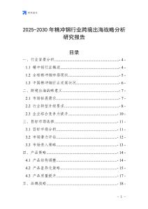 2025-2030年精沖鋼行業跨境出海戰略分析研究報告