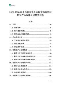 2025-2030年天然軟木墊企業(yè)制定與實施新質(zhì)生產(chǎn)力戰(zhàn)略分析研究報告
