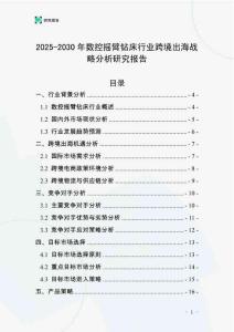 2025-2030年數(shù)控?fù)u臂鉆床行業(yè)跨境出海戰(zhàn)略分析研究報告