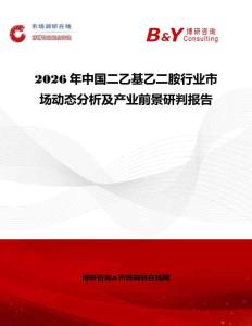 2026年中國二乙基乙二胺行業市場動態分析及產業前景研判報告