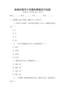 新教材數學幾何圖形解題技巧試題