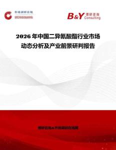 2026年中國二異氰酸酯行業市場動態分析及產業前景研判報告