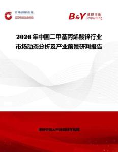 2026年中國二甲基丙烯酸鋅行業市場動態分析及產業前景研判報告