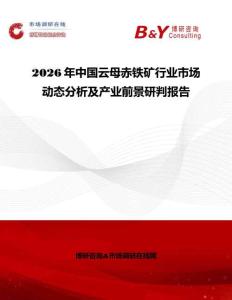 2026年中國云母赤鐵礦行業市場動態分析及產業前景研判報告