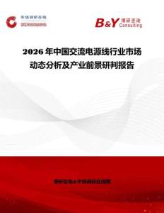 2026年中國交流電源線行業市場動態分析及產業前景研判報告