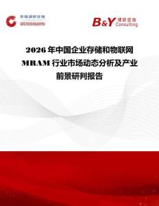 2026年中国企业存储和物联网MRAM行业市场动态分析及产业前景研判报告