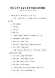 2025年青少年安全教育策略考试及答案