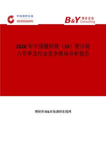 2026年中國鍍鋅鐵（GI）管市場占有率及行業競爭格局分析報告