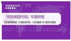 「假發(fā)美國(guó)市場(chǎng)」年度研報(bào)-