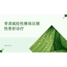 2026年醫(yī)學(xué)課件骨質(zhì)疏松性椎體壓縮性骨折診療新版