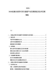 2025-2030法屬圭亞那可再生能源產(chǎn)業(yè)發(fā)展規(guī)劃及技術(shù)發(fā)展策略