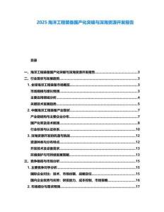 2025海洋工程裝備國(guó)產(chǎn)化突破與深海資源開(kāi)發(fā)報(bào)告