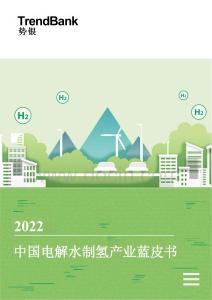 【深度報(bào)告】中國電解水制氫產(chǎn)業(yè)藍(lán)皮書2022