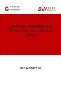 2026年中國(guó)二甲基甲酰銨行業(yè)發(fā)展現(xiàn)狀與市場(chǎng)占有率及排名研究分析報(bào)告