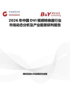 2026年中國DVI視頻轉(zhuǎn)換器行業(yè)市場動態(tài)分析及產(chǎn)業(yè)前景研判報告