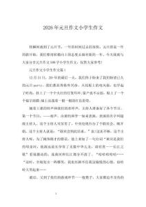2026年元旦作文小學(xué)生作文