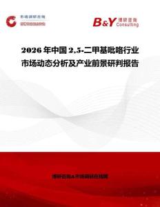 2026年中國25-二甲基吡咯行業市場動態分析及產業前景研判報告