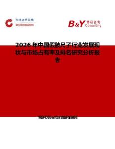 2026年中國假肢尺子行業發展現狀與市場占有率及排名研究分析報告