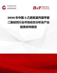 2026年中國3-乙酰氧基丙基甲基二氯硅烷行業市場動態分析及產業前景研判報告