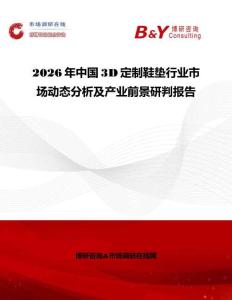 2026年中國3D定制鞋墊行業市場動態分析及產業前景研判報告