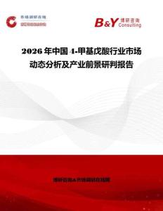 2026年中國4-甲基戊酸行業市場動態分析及產業前景研判報告