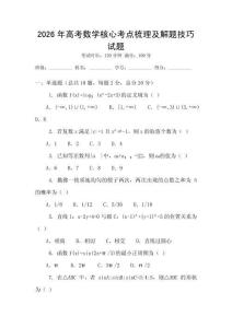 2026年高考數學核心考點梳理及解題技巧試題