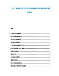 2025中國(guó)電子支付行業(yè)市場(chǎng)競(jìng)爭(zhēng)格局及投資評(píng)估規(guī)劃研究報(bào)告