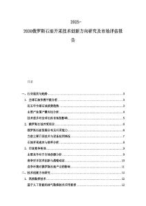 2025-2030俄羅斯石油開采技術創新方向研究及市場評估報告