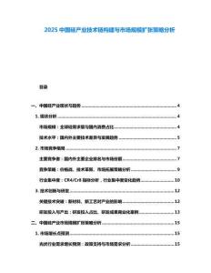 2025中國硅產(chǎn)業(yè)技術鏈構建與市場規(guī)模擴張策略分析