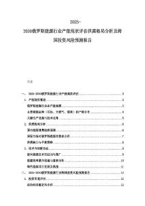 2025-2030俄羅斯能源行業(yè)產(chǎn)能現(xiàn)狀評(píng)估供需格局分析及跨國(guó)投資風(fēng)險(xiǎn)預(yù)測(cè)報(bào)告