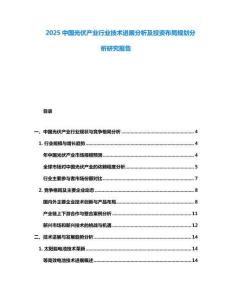 2025中國光伏產(chǎn)業(yè)行業(yè)技術(shù)進(jìn)展分析及投資布局規(guī)劃分析研究報告