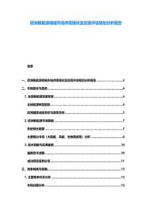 歐洲新能源領(lǐng)域市場(chǎng)供需現(xiàn)狀及投資評(píng)估規(guī)劃分析報(bào)告
