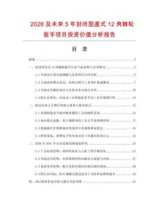 2026及未來(lái)5年封閉型直式12角棘輪扳手項(xiàng)目投資價(jià)值分析報(bào)告