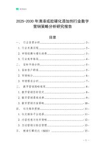 2025-2030年清漆或膠硬化添加劑行業數字營銷策略分析研究報告